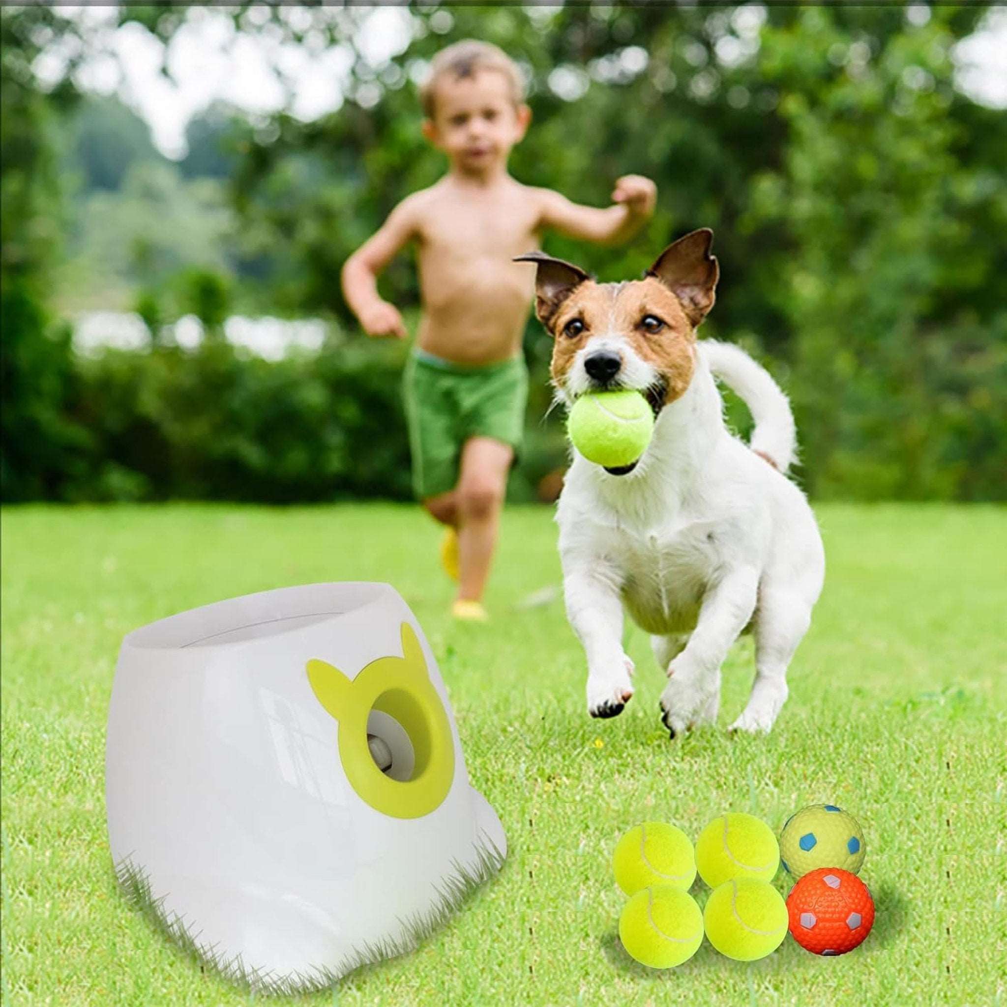 Pop 'n Play Automatic Ball Launcher Bark Bliss Boutique