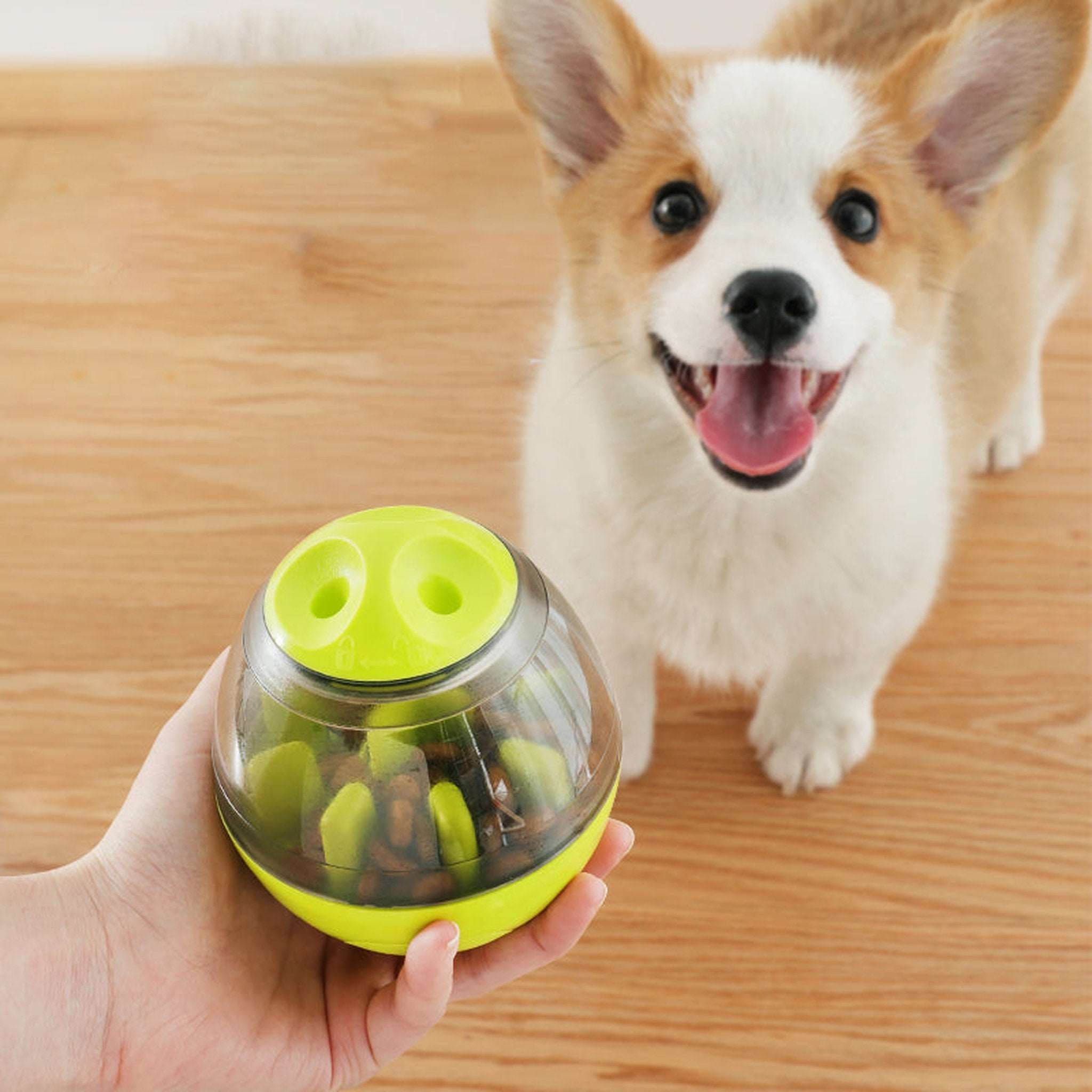 Pets IQ Treat Dispenser Puzzle Toys Bark Bliss Boutique