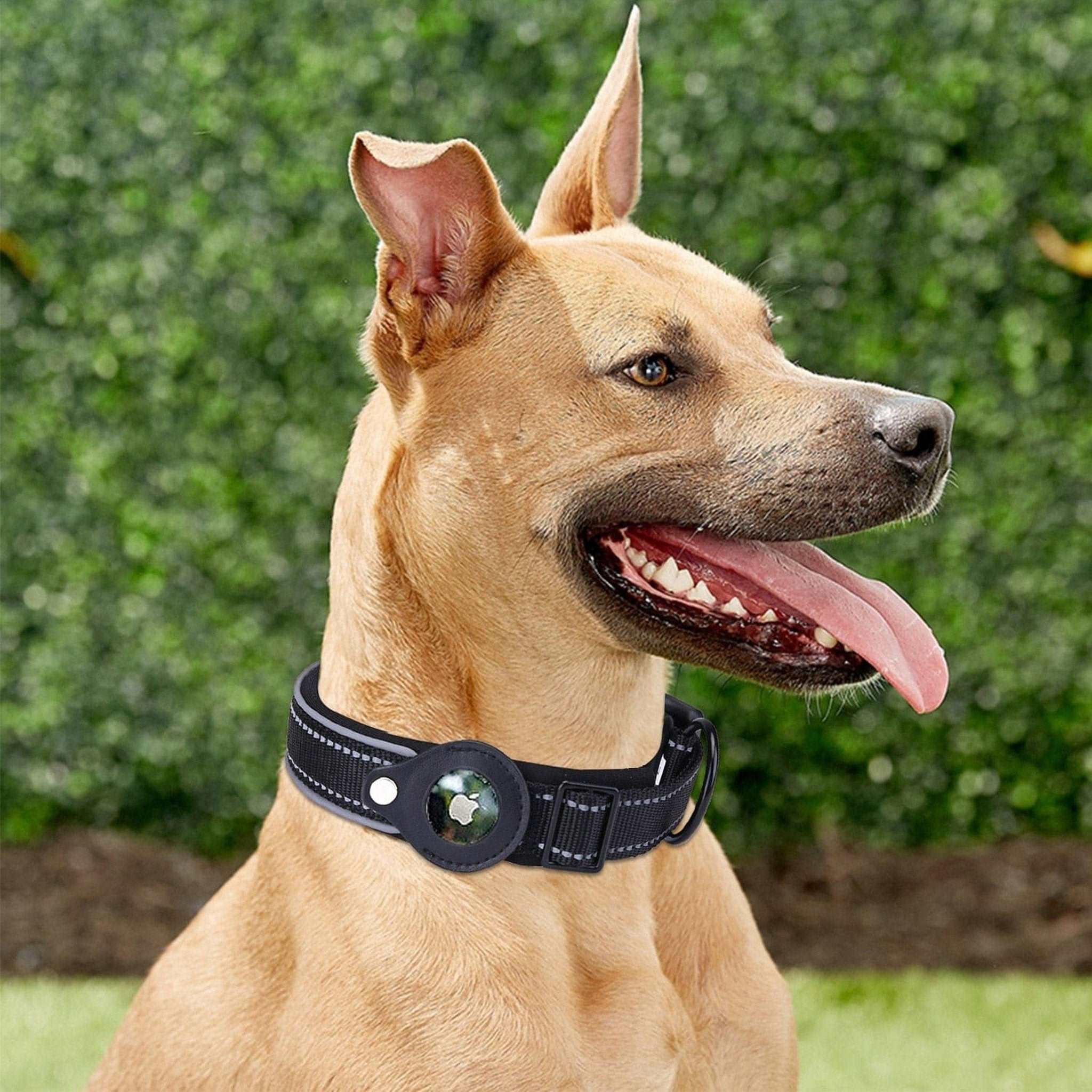 AirTag Dog Collar Bark Bliss Boutique
